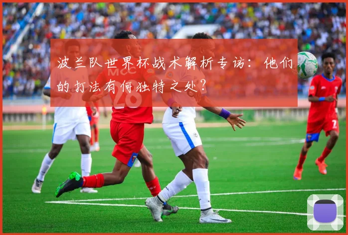 波兰队世界杯战术解析专访：他们的打法有何独特之处？