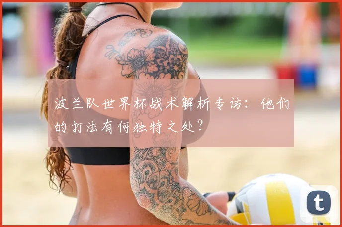 波兰队世界杯战术解析专访：他们的打法有何独特之处？