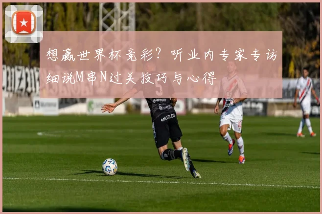 想赢世界杯竞彩？听业内专家专访细说M串N过关技巧与心得