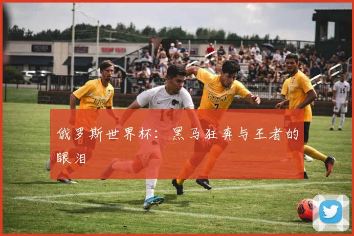 俄罗斯世界杯：黑马狂奔与王者的眼泪