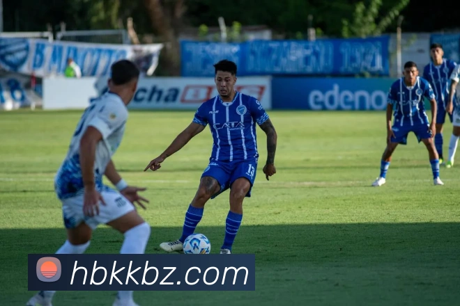 华体网首页官网平台生态图