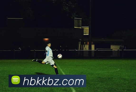 华体网首页官网全站App